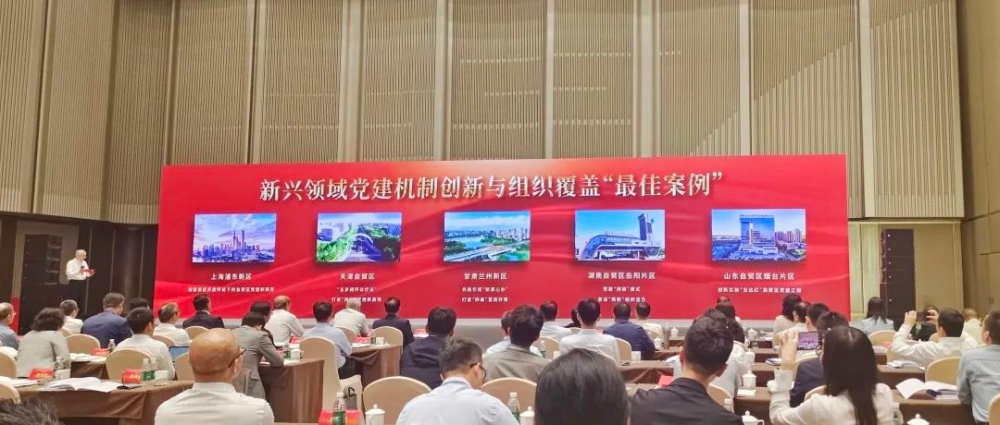 岳阳自贸片区党建“网链”模式，获评新兴领域党建机制创新与组织覆盖“全国最佳案例”