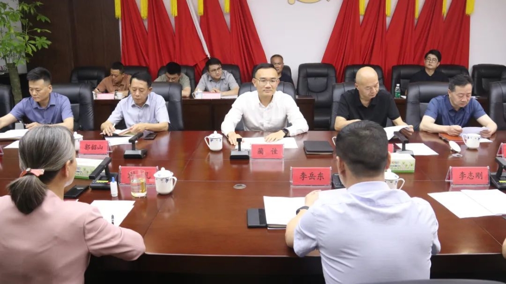 蔺佳调研经投集团，共商发展新路径
